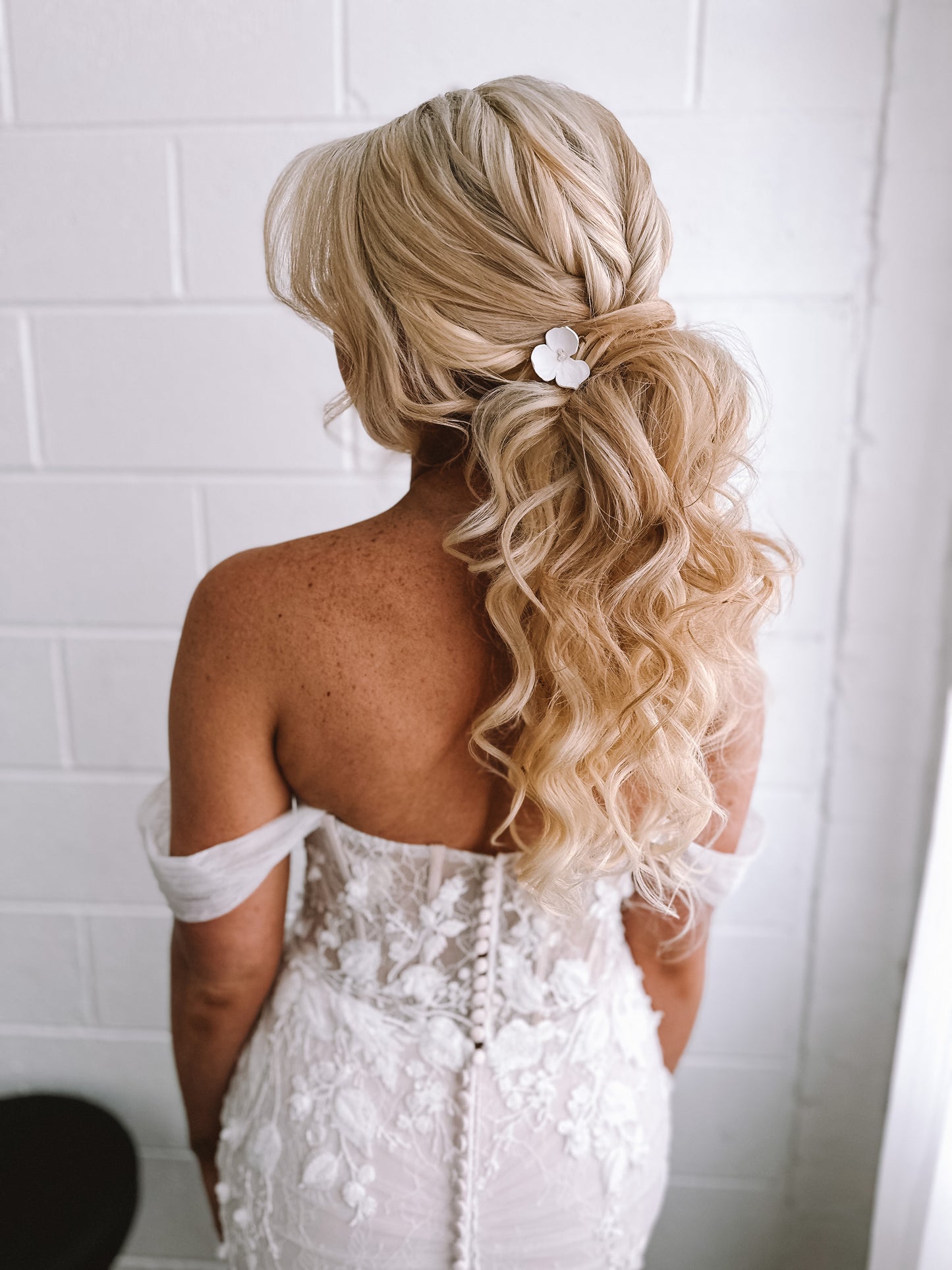 Auckland Ponytail Mastery - May 18th